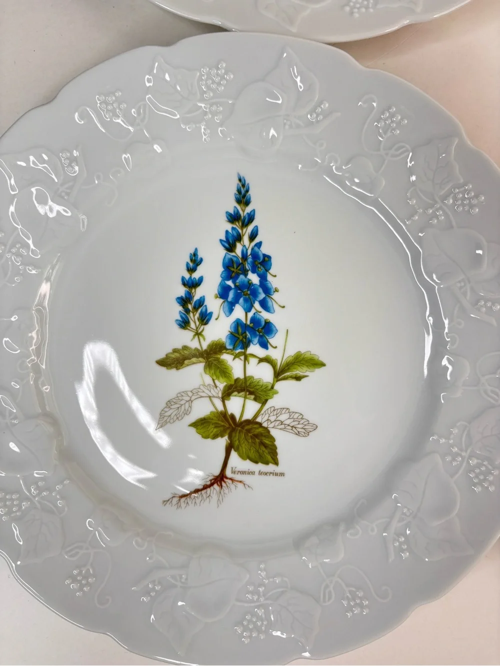 Dansk Ivy Embossed White Porcelain Flower Botanical Luncheon Plates France Set 4